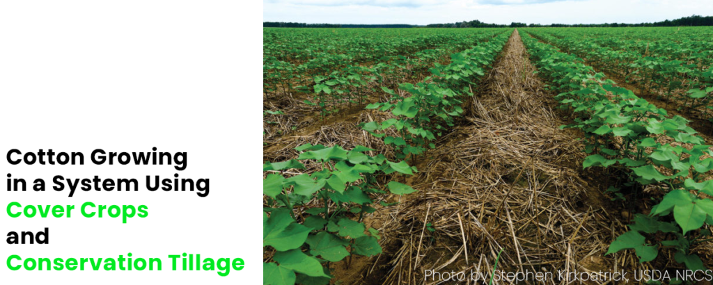 Use of cover crops and conservation tillage in agriculture for soil conservation