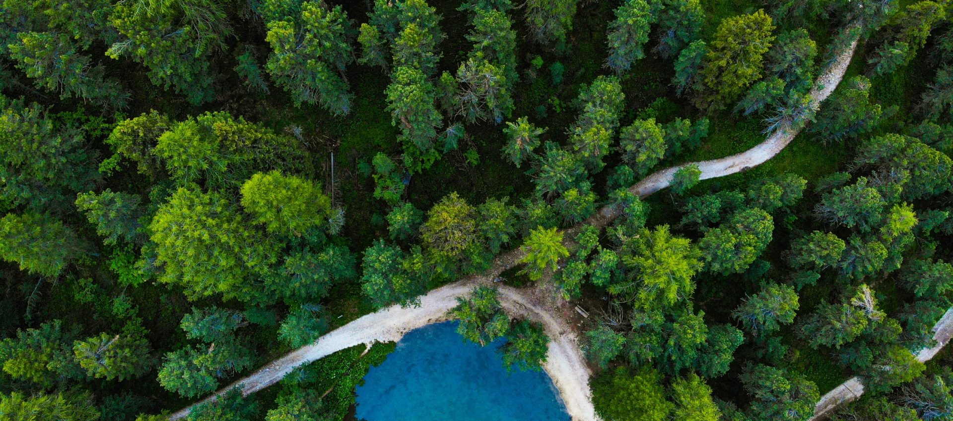 aerial-of-a-lake-in-the-forest-2024-12-02-18-15-12-utc