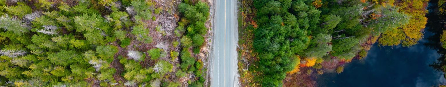 Scenic Highway by Trees in Mountain. Vancouver Island, British Columbia, Canada.